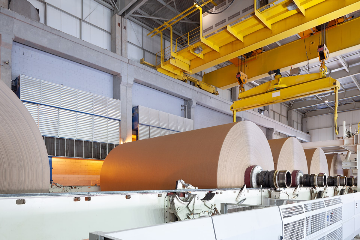 Paper & Pulp Industries